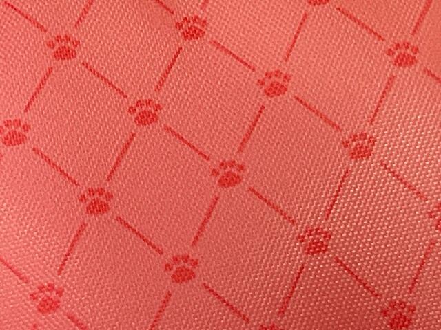 よくみると肉球が！