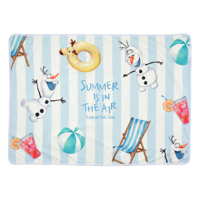 ブランケット ケース入り Disney Cool Goods 5,000円