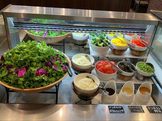 【生野菜のサラダバー】チキンと相性抜群！！