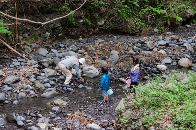 説明でなく、見せてやり方を教えてくれる
