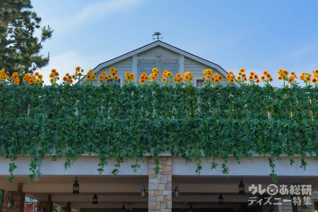 「ダッフィーのサニーファン」デコレーション