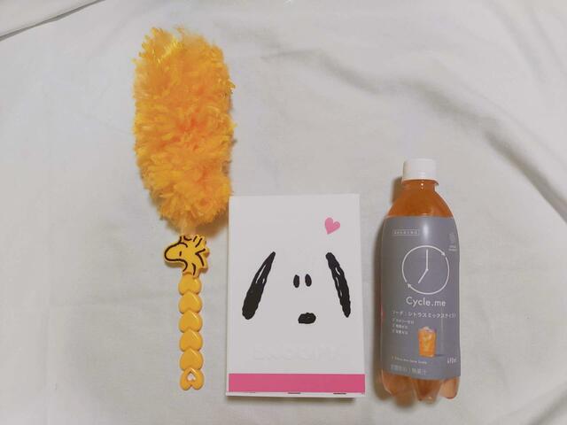 収納ケースの大きさは、500mlペットボトルよりやや小さめ