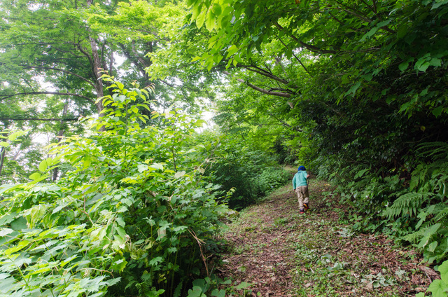 山伏山 表登山道
