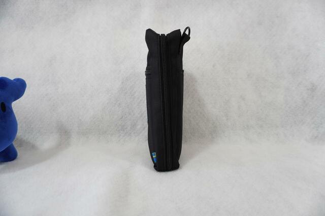 横から見たところ