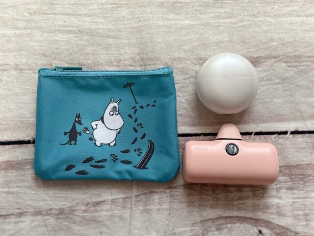 ポケットがないバッグの時に役立ちそうなサイズ感がGood!