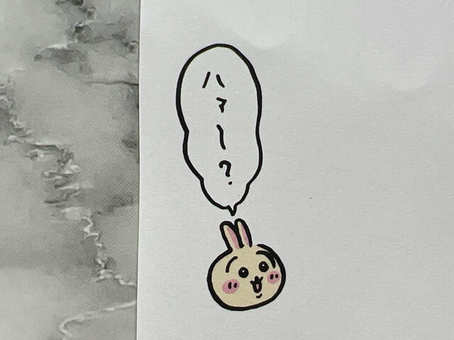 お馴染み「ハァ〜？」のうさぎ。声が聞こえてきそうです♪