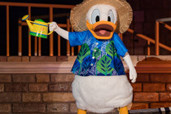 【写真30枚】TDL「オー！サマー・バンザイ！」フォトギャラリー