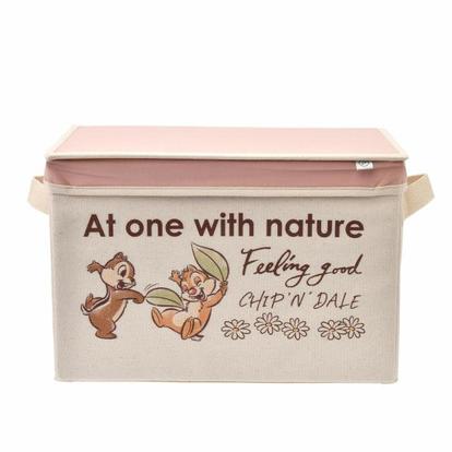 激レア【チップとデール】ディズニー収納BOX ディズニー】食品廃棄物を再活用！チップとデール“地球にやさしい”雑貨