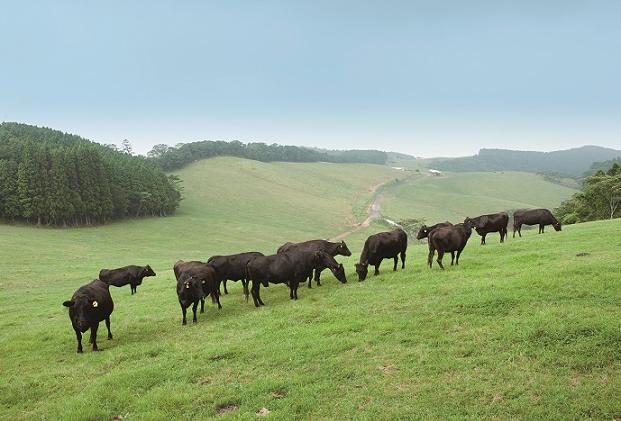 「ワタミカミチク株式会社」【かみむらの夏祭り】