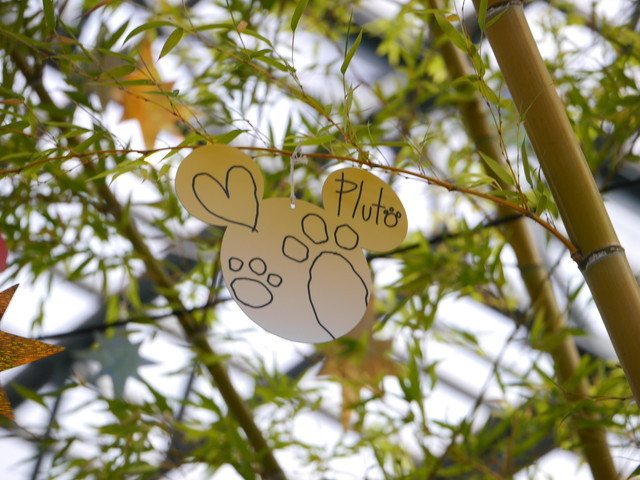 東京ディズニーランド「ディズニー七夕デイズ」