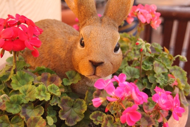 東京ディズニーリゾート「イクスピアリ・イースタータウン」