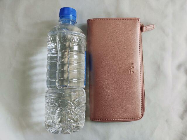 サイズは（約）縦10×横19×マチ1.5cm