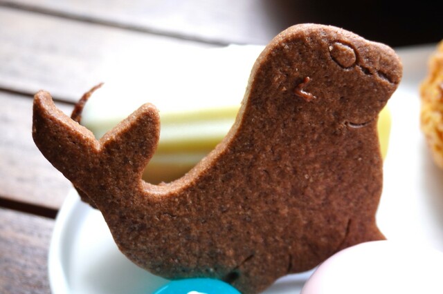 ハイアット セントリック 銀座 東京「すみだ水族館コラボアフタヌーンティー」オットセイクッキーとレモン風味のマドレーヌ