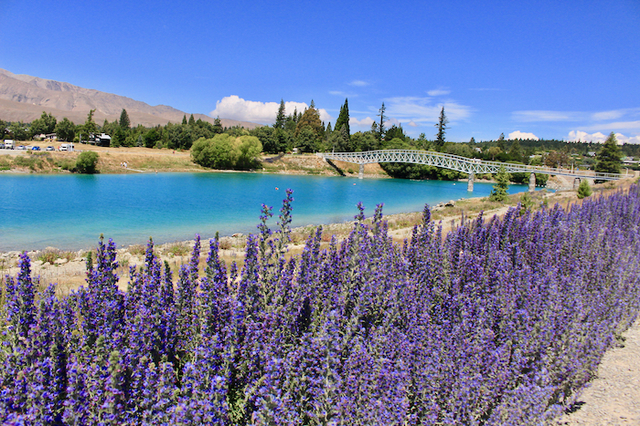 ニュージーランド