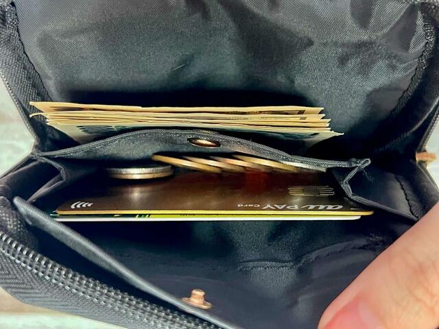 【Disney MICKEY MOUSE スマホショルダー BOOK】ポケットにコインとカードを入れてみました！