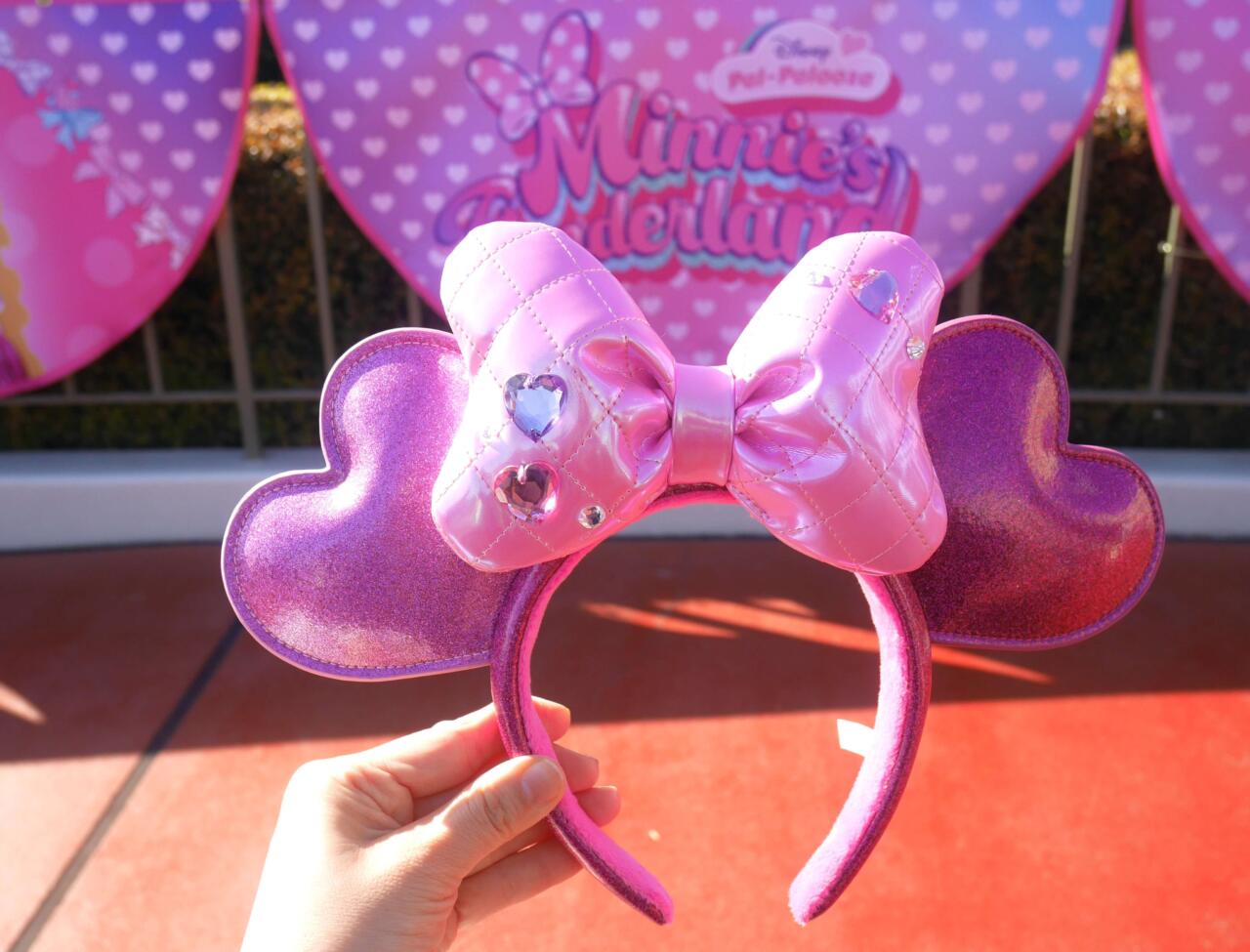 ディズニー パルパルーザ ミニーのファンダーランド 3点おまとめ 完売品 ディズニー パルパルーザ ミニーのファンダーランド 3点おまとめ 完売