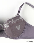 ［ナチュラルアップブラ］ディズニーデザイン 4,290円～