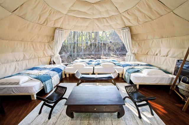 客室は6棟。写真は28.3平方メートル、4名宿泊可能なドームテント／THE BAMBOO FOREST