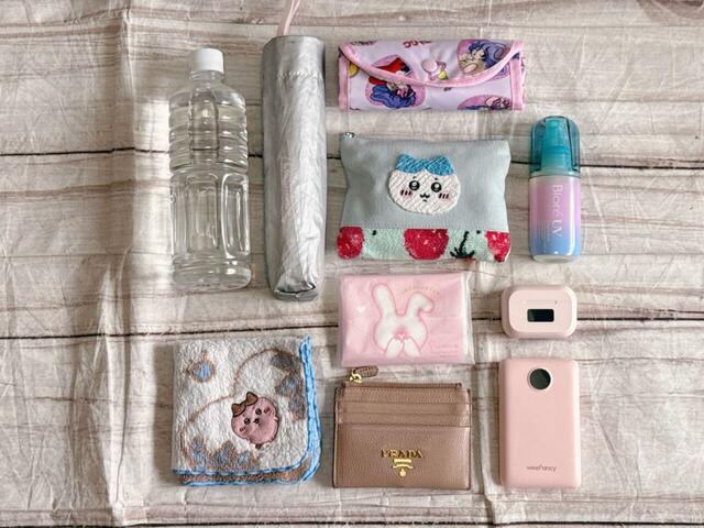 これだけのものが入りました！