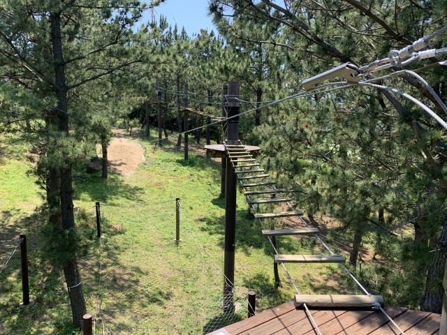 木々の間を渡る！