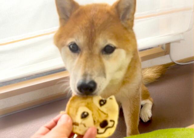 【Dog Lab Bubbie Boo 似顔絵ケーキ】自分の似顔絵をガブリ