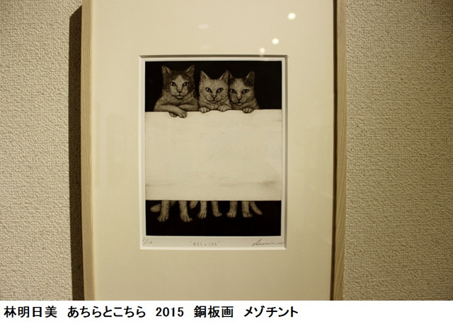 可愛くてキュンキュンする「吉祥寺ねこ祭り」の猫たち