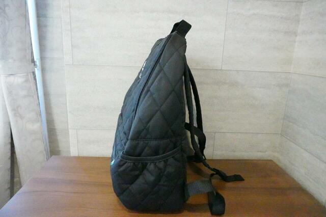 横から見たところ