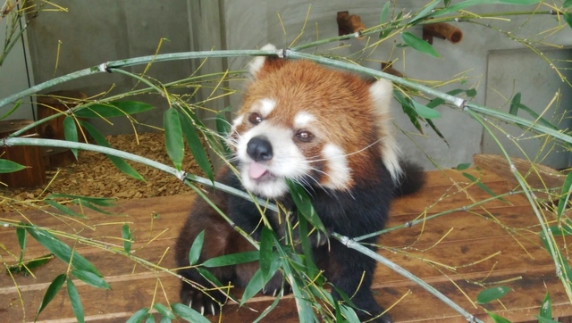 もぐもぐタイムもお見逃しなく！