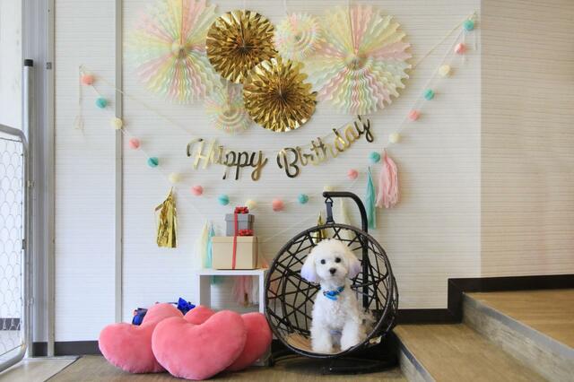 【ゆるり西伊豆】