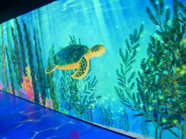 『Trim the EARTH～めぐる、学ぶ、世界のカーボンニュートラル～』