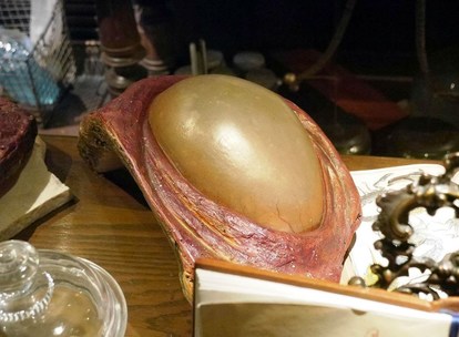 Tds 激レア センター オブ ジ アース 休止中にだけ開催される マグマサンクタムツアー 詳細レポ 3 5 ディズニー特集 ウレぴあ総研