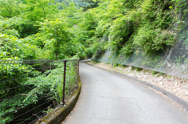 いったん戻り、飛龍橋へ｜「夢の吊り橋」散策ルート：寸又峡プロムナード