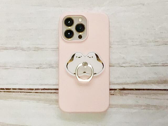 iPhoneを入れてみました♪