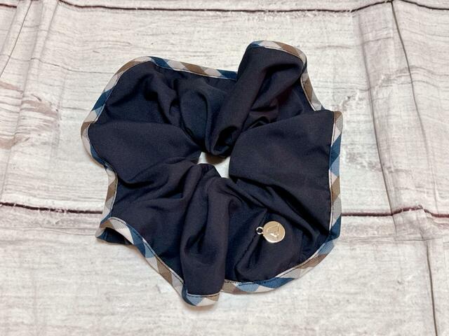 1：アクアスキュータム　ビッグシュシュ