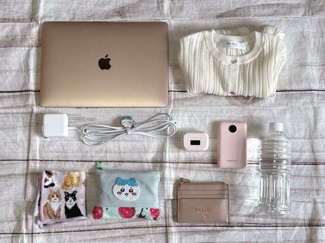 マチなしのフラットタイプのトートバッグですが、これだけのものが収納できました！