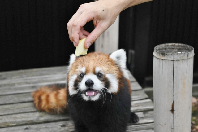 カワイイ表情の写真も撮れます！