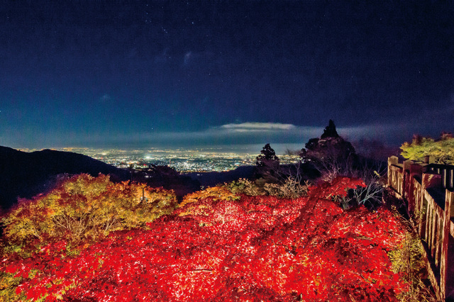 大山阿夫利神社