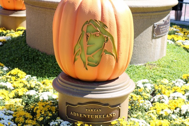 パートナーズ像の周りに飾られているかぼちゃ 