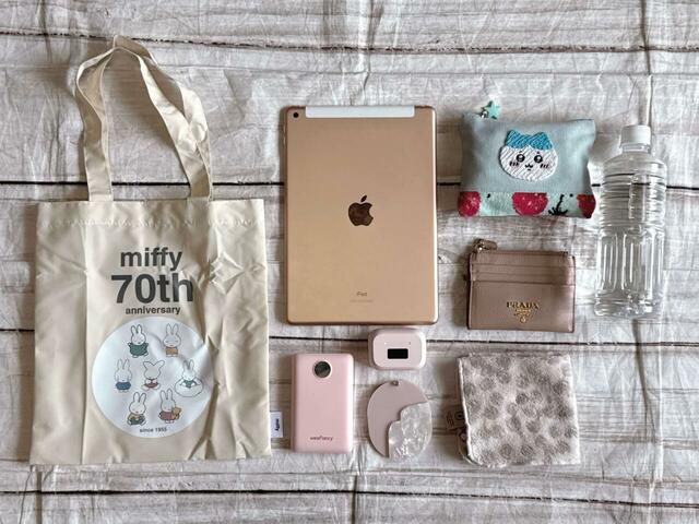 中サイズは日常使いにぴったり！エコバッグとして使うのもおすすめ