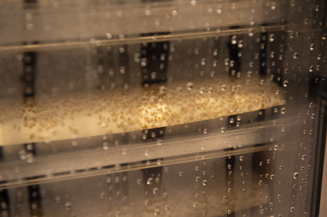 撮影：山田美幸