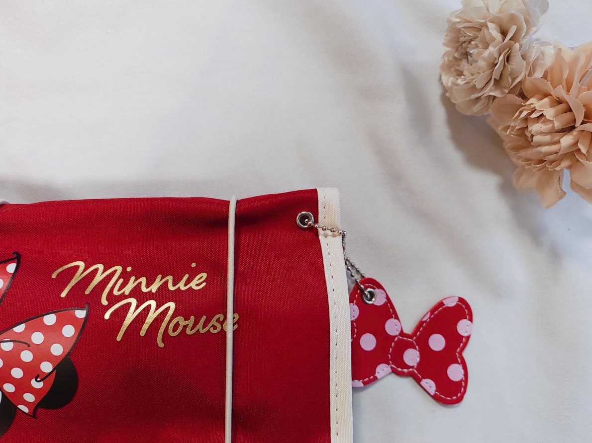 ゼクシィ最新付録がまたまた高クオリティ！ミニーの激かわトラベル