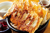 餃子道 長住道場（岐阜／岐阜）　「餃子丼 免許皆伝（18個）」1080円