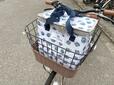 【cookpad plus 2025年夏号特別付録】自転車の買い物かごにすっぽりおさまるサイズ感がGood！
