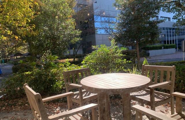 【JAXA 食堂】カウンター席からの眺め。緑豊かな広大な敷地に研究棟や実験棟が臨める