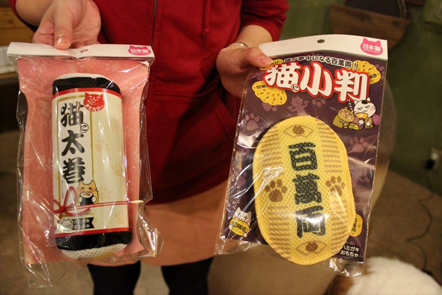 可愛くてキュンキュンする「吉祥寺ねこ祭り」の猫たち