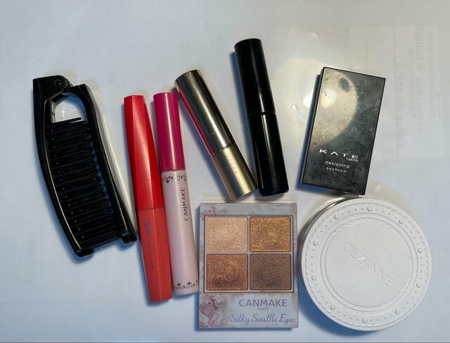 【ワークマン　あれこれまとまるガバッとポーチ】メイク道具を収納していきます