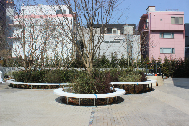 木陰でほっとひと息できそう