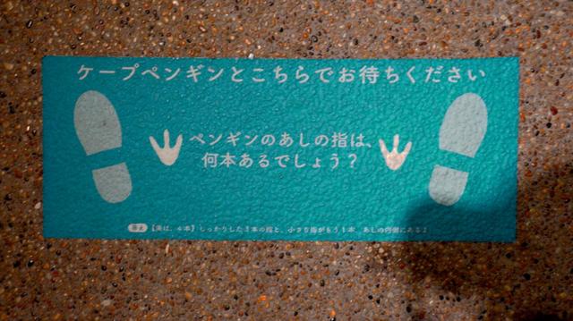 入口での感染症対策　ソーシャルディスタンス案内表示