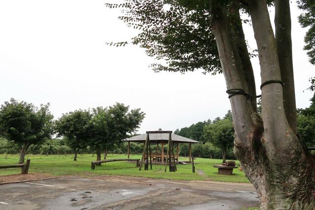 四万騎農園(撮影/園浦しゅう)