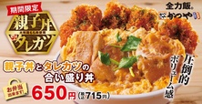 親子丼とタレカツの合い盛り丼